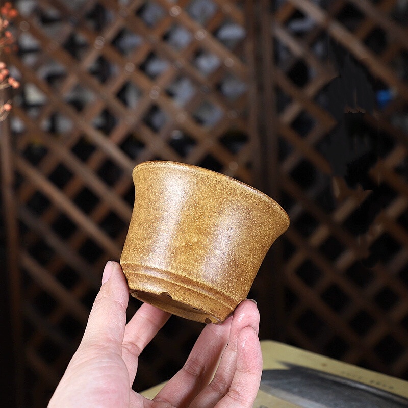 China Handmade Pottery Bonsai  - Bonsai Garden China recensione e prezzo