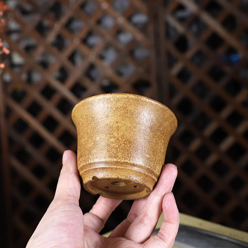 China Handmade Pottery Bonsai  - Bonsai Garden China recensione e prezzo