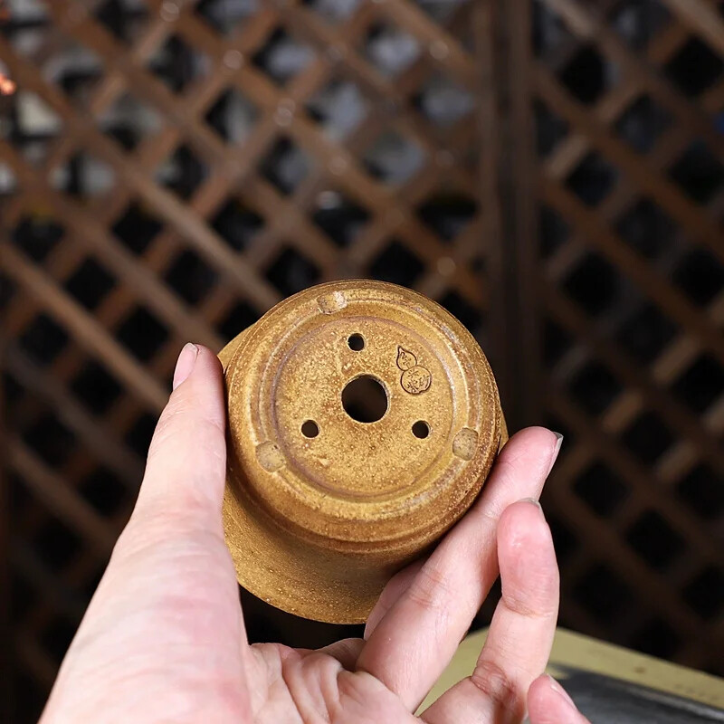 China Handmade Pottery Bonsai  - Bonsai Garden China recensione e prezzo