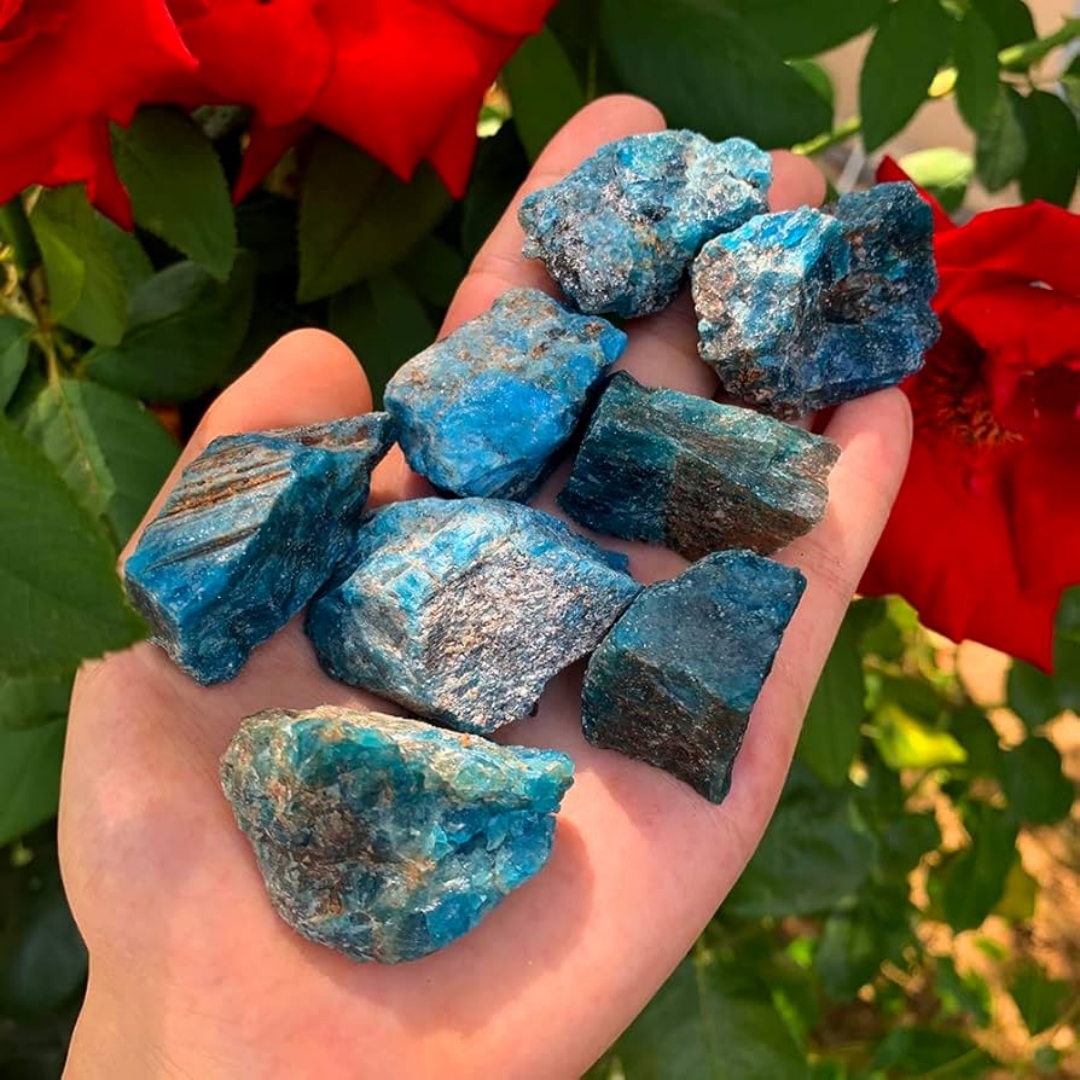 40g/120g/240g Natural Blue Apa - Bonsai Garden China recensione e prezzo