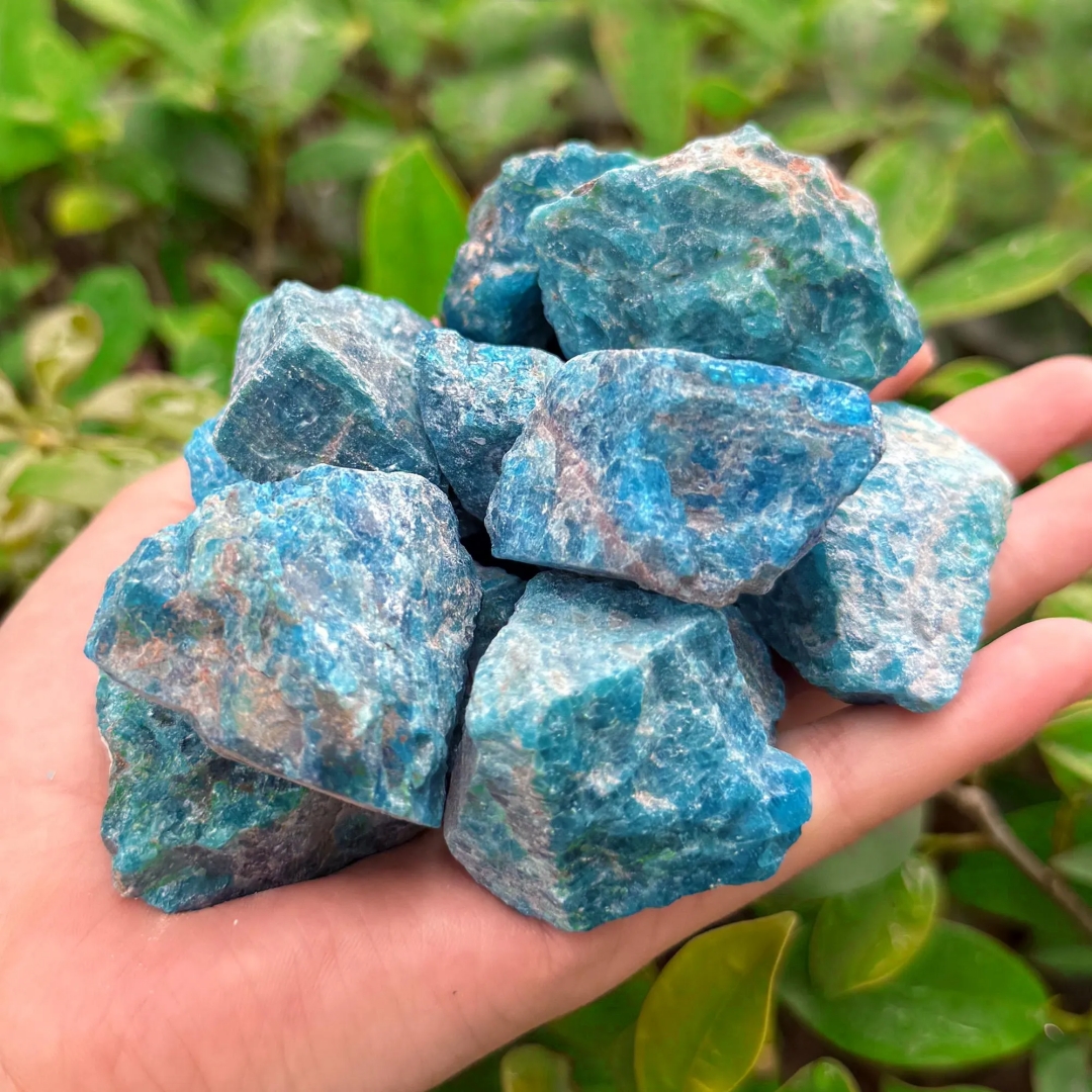 40g/120g/240g Natural Blue Apa - Bonsai Garden China recensione e prezzo