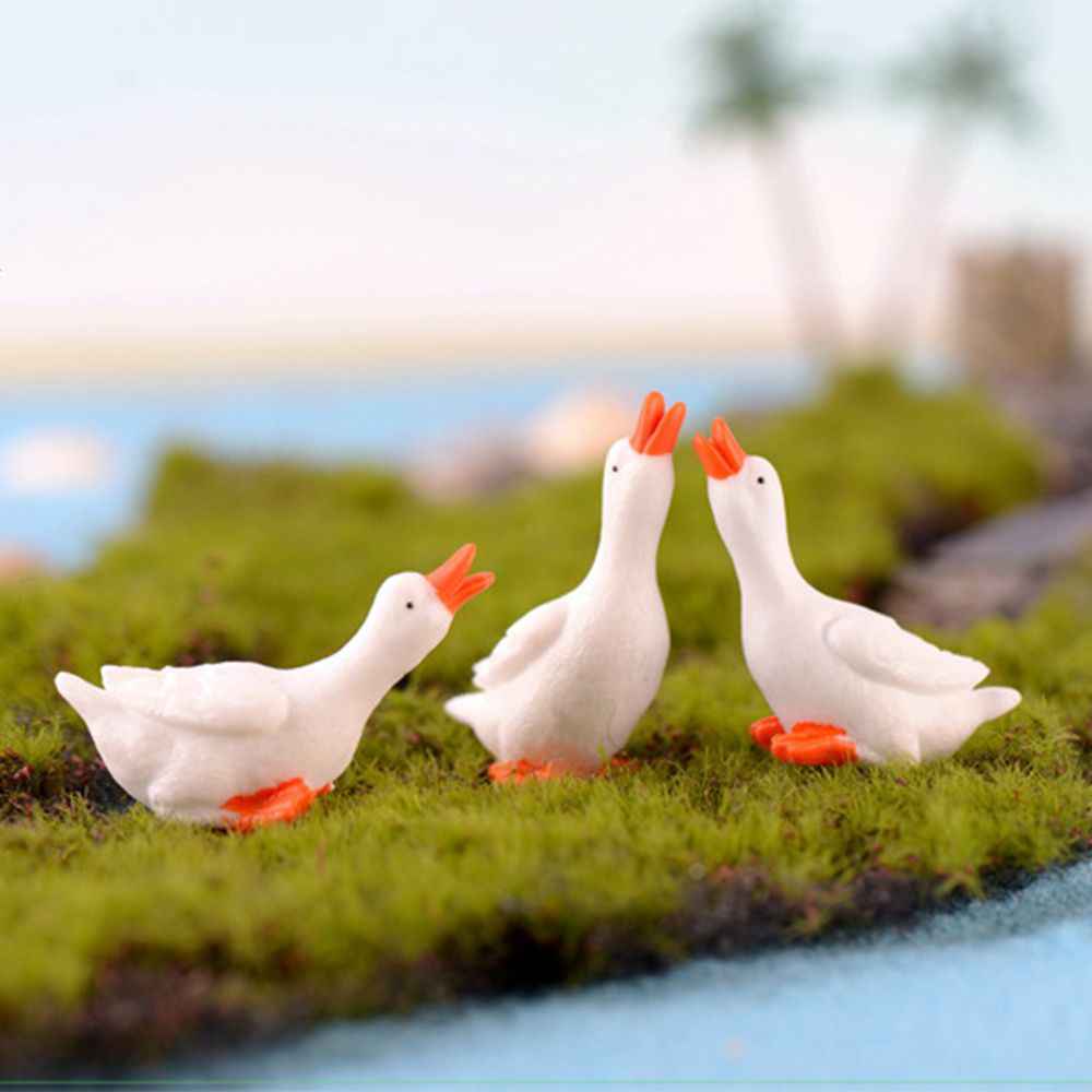 Cute DIY Home Decoration Swan  - Bonsai Garden China recensione e prezzo
